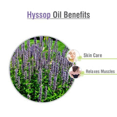 Pure Salvia Hyssop oil on white background