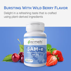 SAM-e liver support 200 mg tablet image