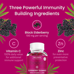 Sambucus black elderberry benefits illustration