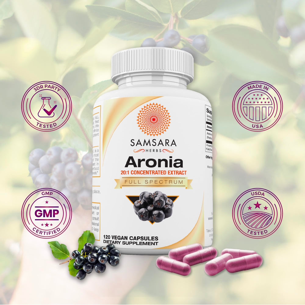 Fresh Aronia berries (chokeberries) close-up