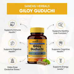 Close-up of Giloy powder label