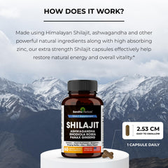 Person taking one capsule as daily serving