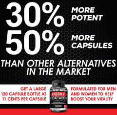 Saw Palmetto berry component of the supplement