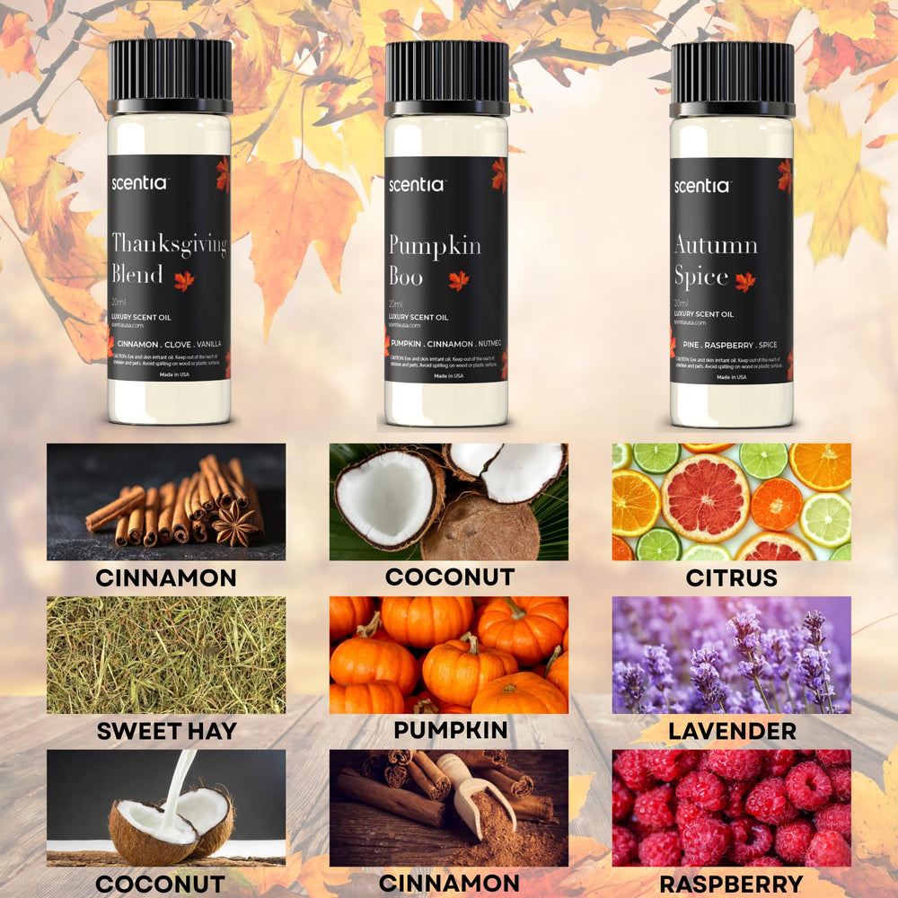Pumpkin Boo 20ml bottle from Scentia Fall Essential Oils Set.