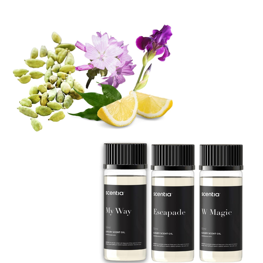 Scentia My Way hotel diffuser oil gift set front view with three 50ml bottles