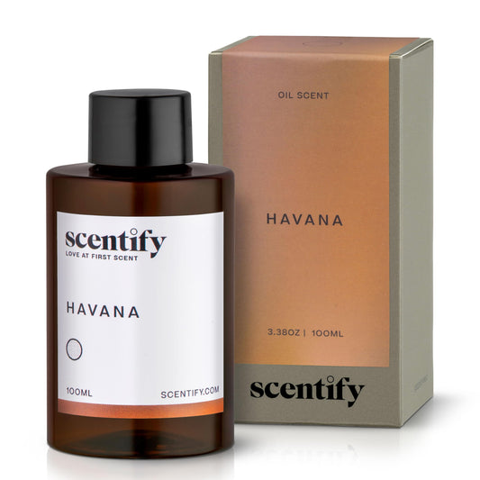 Scentify Havana aroma oil refill bottle 100ml in amber glass, front view
