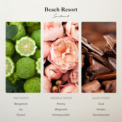 Display of Scentiment Beach Resort diffuser oil collection