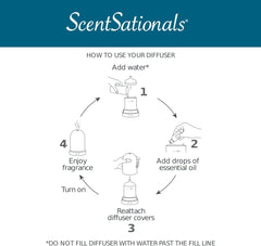 Scentsationals diffuser with water at max line for easy setup