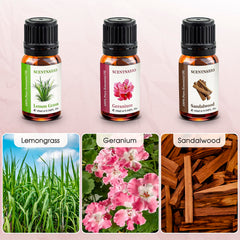 SCENTNARIO essential oils set sweet orange slices highlighting uplifting aroma.