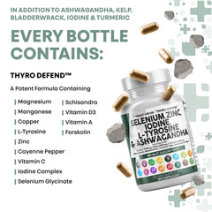Schisandra berries and vitamin components