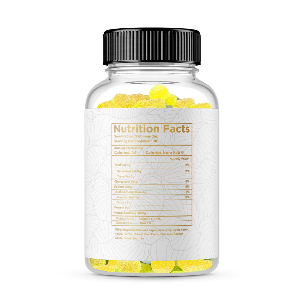 Two-pack packaging of Scion Organics Hemp Gummies Raspberry