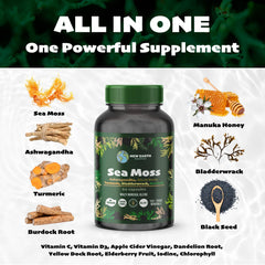 Close-up of sea moss and other ingredients