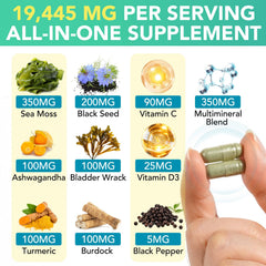 Bladderwrack and burdock root ingredients with capsules in supplement set