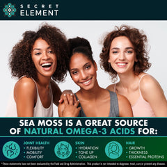 USA-made manufacturing facility for Sea Moss capsules