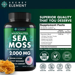 Sea Moss capsules poured into a spoon