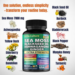 Sea moss capsules featuring ginger, burdock root, and bladderwrack