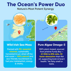 Algae Omega-3 and Bladderwrack illustration