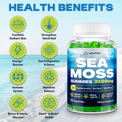 Burdock root used in Sea Moss Gummies