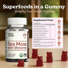 Nutrition panel showing mg per serving for Sea Moss Gummies