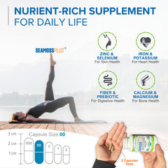 Vegan and gluten-free Sea Moss Plus capsules