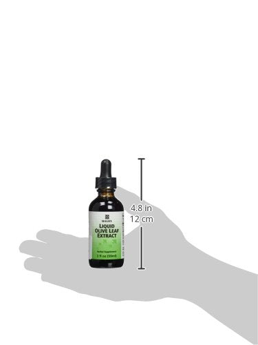Graphic illustrating seven phytochemicals in olive leaf extract
