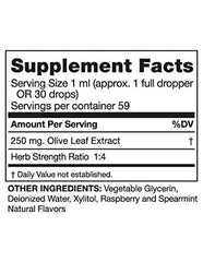 Close-up of the dropper dispensing olive leaf extract with raspberry-spearmint flavor