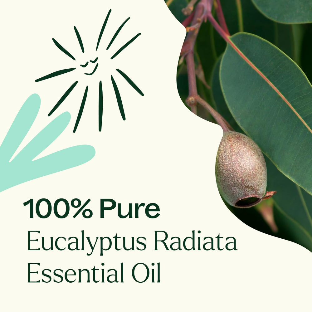 DIY seasonal congestion blend featuring Eucalyptus Radiata
