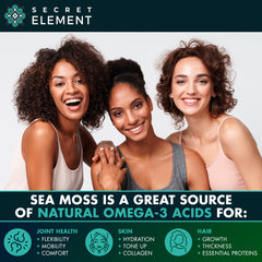 Secret Element Sea Moss Capsules highlight skin, hair, and nails wellness benefits