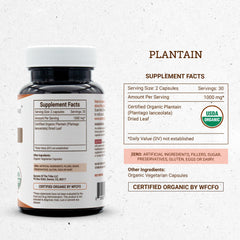High-potency extraction equipment for plant-based capsules