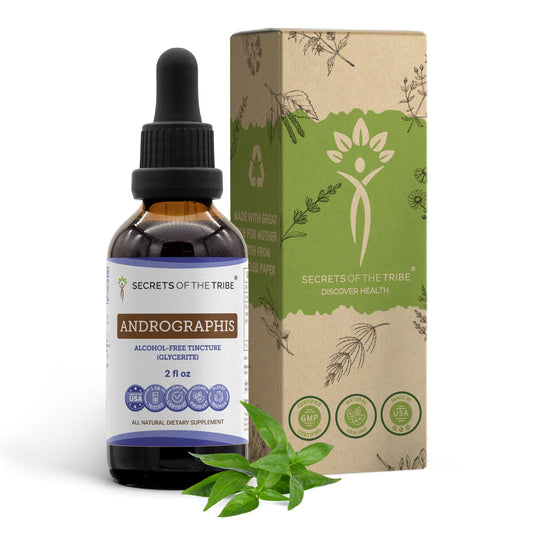 Bottle of Secrets of the Tribe Andrographis Alcohol-Free Liquid Extract 2 oz