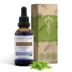 Front view of Secrets of the Tribe Wild Lettuce Tincture bottle, 2 oz