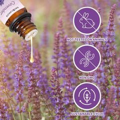Amber glass bottles protecting essential oils