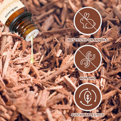 Close-up of vetiver essential oil amber bottle