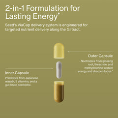 Close-up of prebiotics and postbiotics for gut health