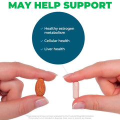 Graphic illustrating liver metabolism support for estrogen
