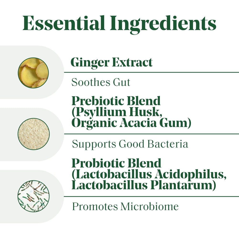 Ginger root illustrating digestion support