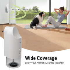 Shammgria compact aroma diffuser suitable for bedroom and office spaces