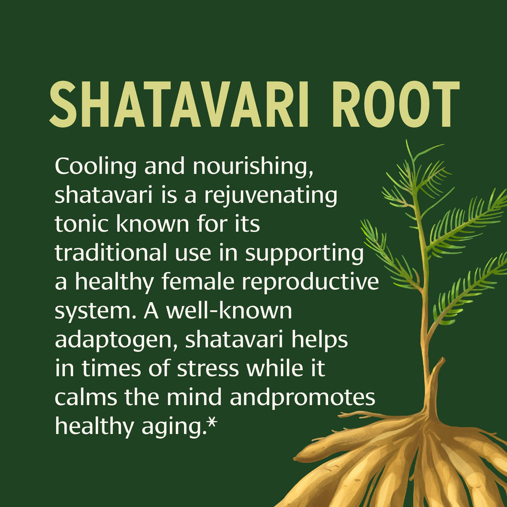 Shatavari root and tablets image