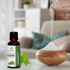 Sheer Essence Lemon Verbena Oil bottle close-up showing pure undiluted oil.