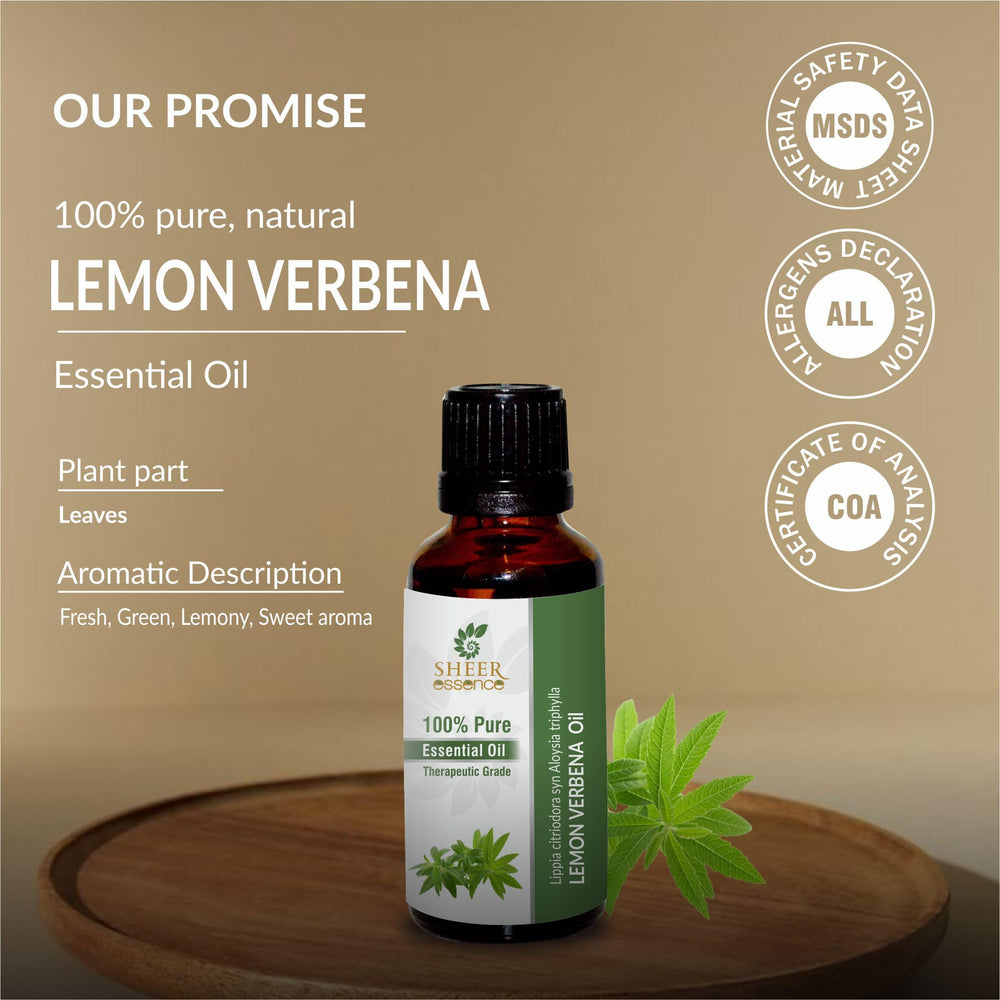 Sheer Essence Lemon Verbena Oil candle-diy project for fresh fragrance.