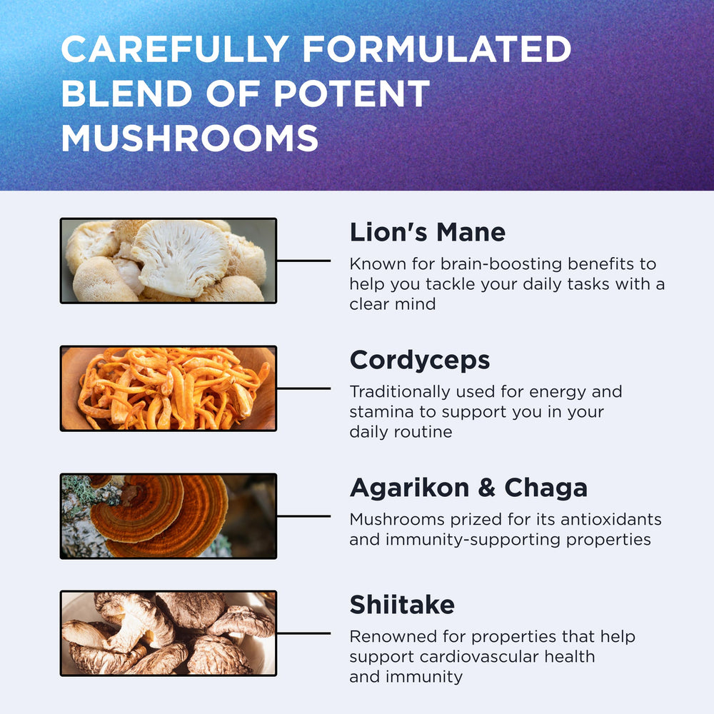 Shiitake, Maitake, Antrodia and Agarikon mushroom close-up