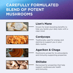 Shiitake, Maitake, Antrodia and Agarikon mushroom close-up