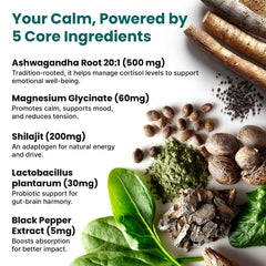 Shilajit extract and energy-boosting ingredients in cortisol supplement