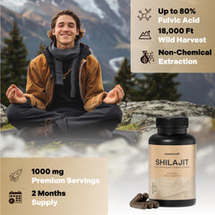 Fulvic acid and minerals in shilajit illustration
