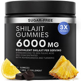 Shilajit Gummies hero image with bottle