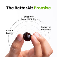 Shilajit gummies for energy and immune support