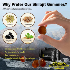 Hero image of Shilajit Gummies
