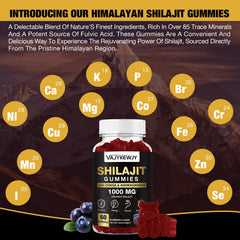 Shilajit Gummies packaging with product name and count 120