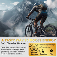 Shilajit Gummies packaging and label