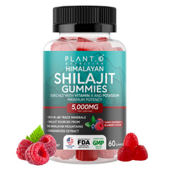 Shilajit Gummies Raspberry flavor bottle - 60 count
